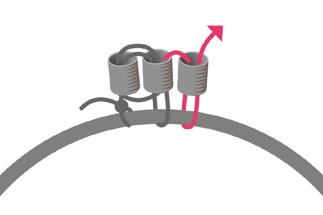 Comment tisser des perles autour d'un anneau ? : Etape 3